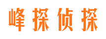 沙坡头找人公司